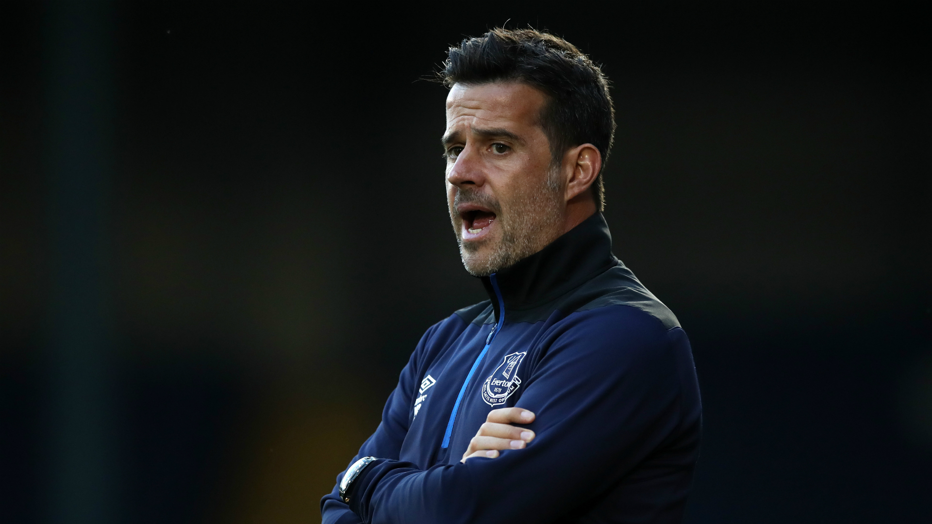 或许能够在 或许能够在